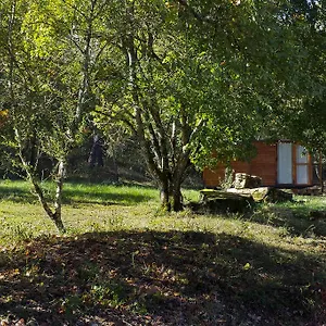  Camping Agricampeggio Madonna Di Pogi
